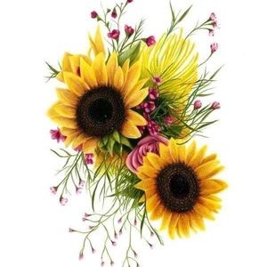 Meet your Posher, Sylvia